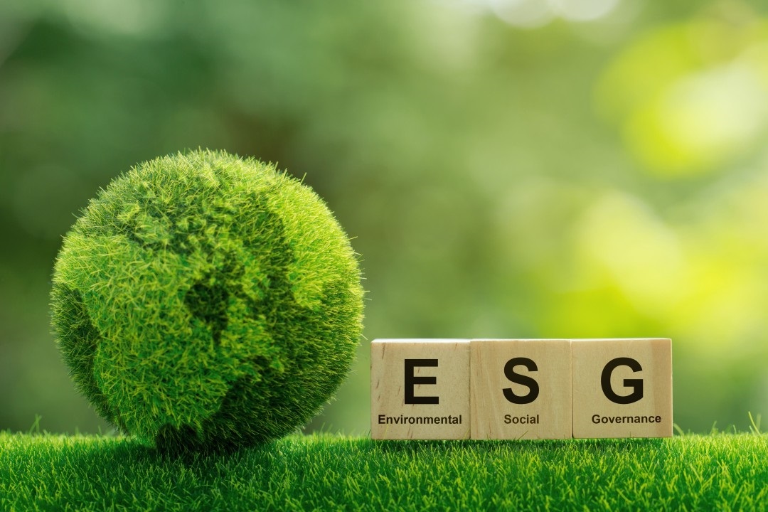 Let's talk about digital transformation and ESG?